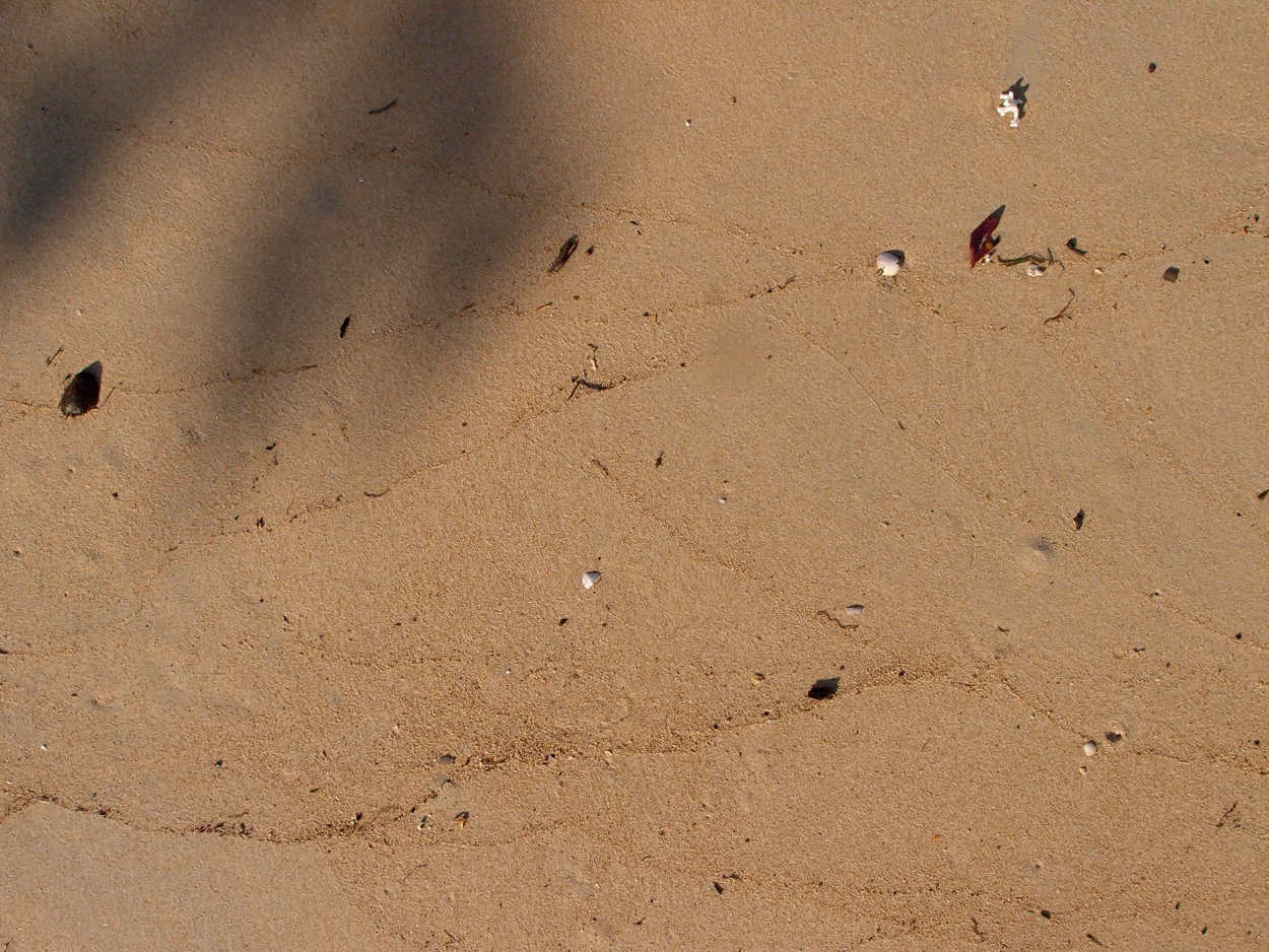 2015-09-27 Boot & Sand (Komposition) (Foto) 