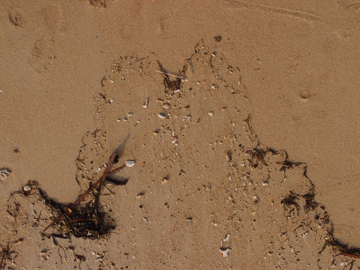 2015-09-29 Sand (Komposition) (Foto) 