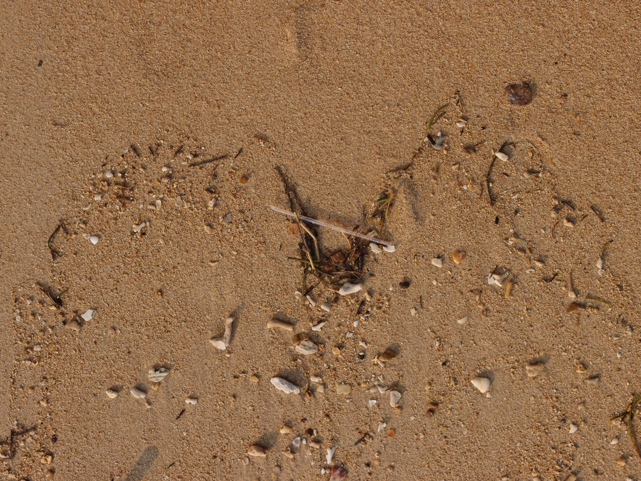 2015-09-29 Sand (Komposition) (Foto) 