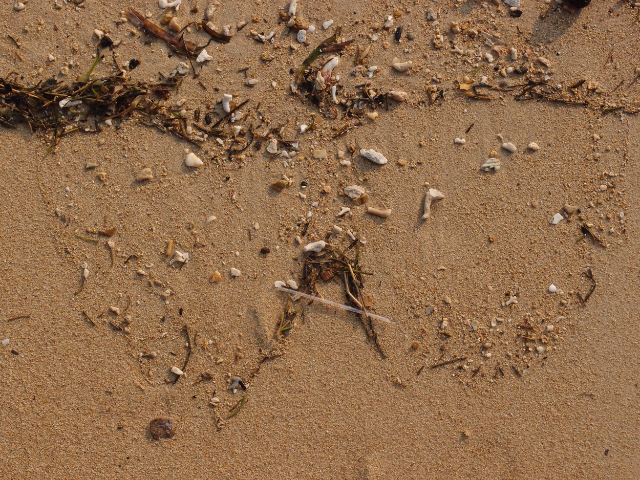 2015-09-29 Sand (Komposition) (Foto) 