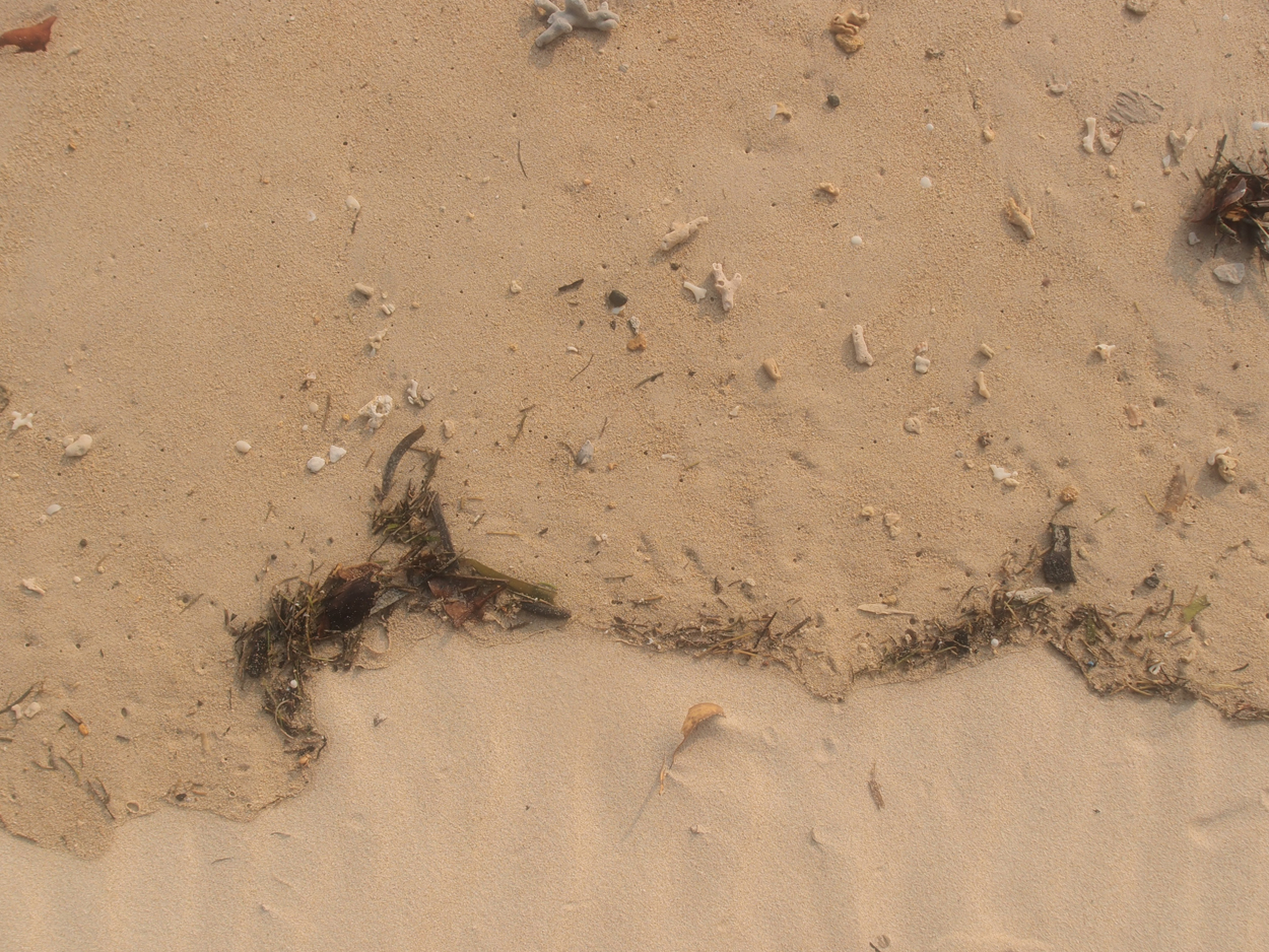 2015-09-29 Sand (Komposition) (Foto) 