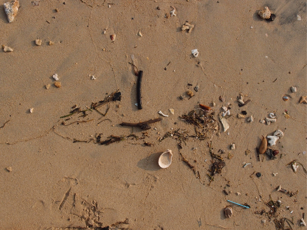 2015-09-29 Sand (Komposition) (Foto) 