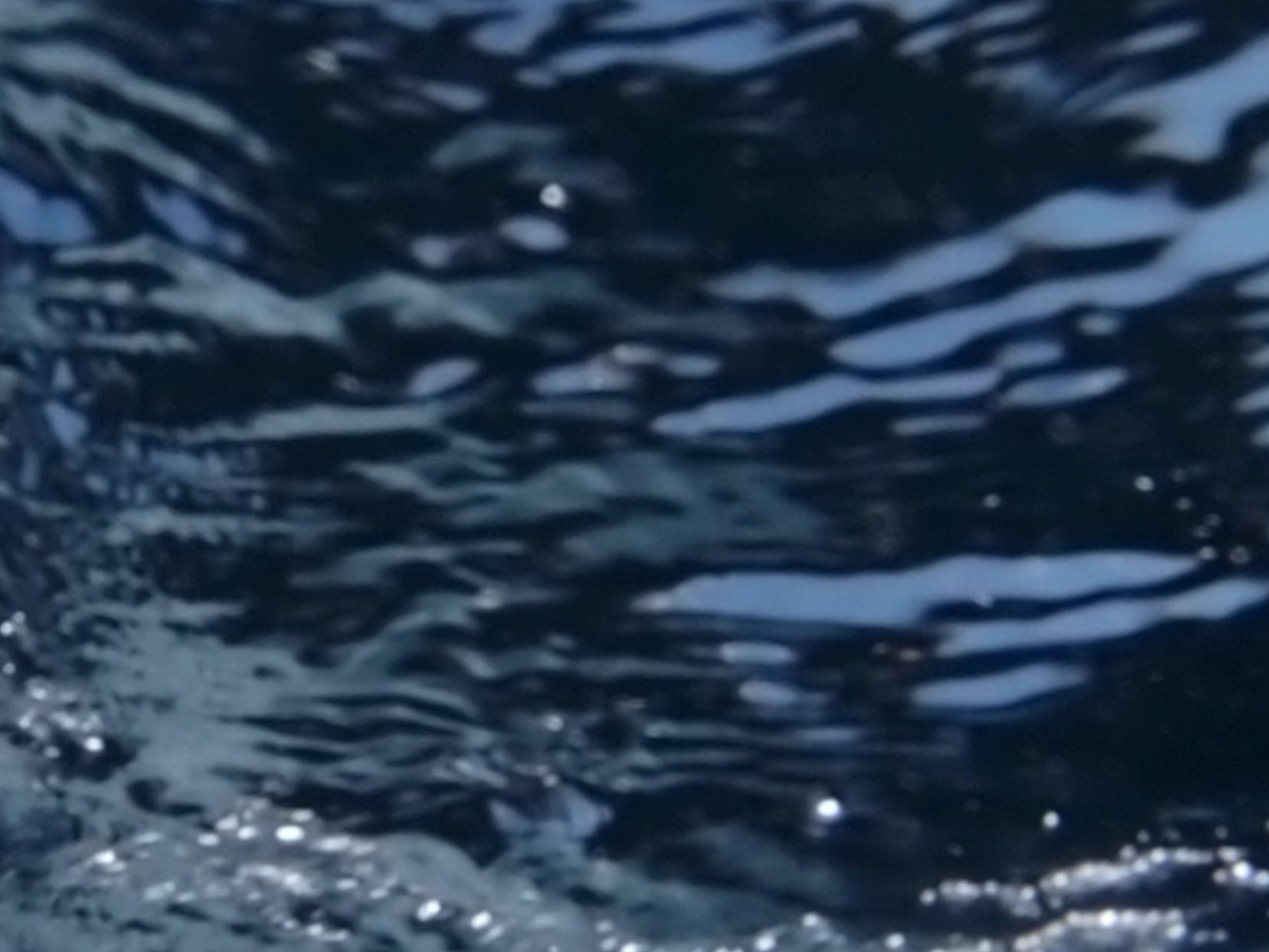 PA015910.AVI
