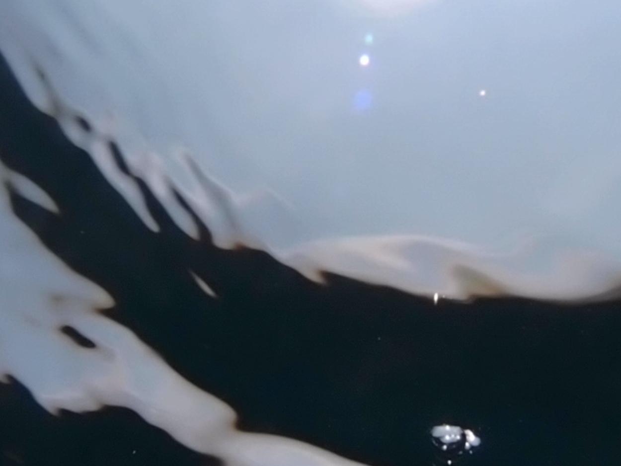 PA015910.AVI