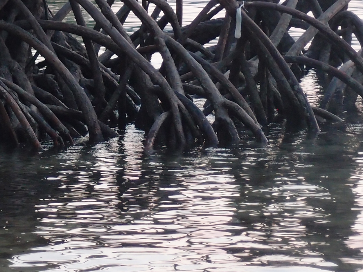 PA015910.AVI
