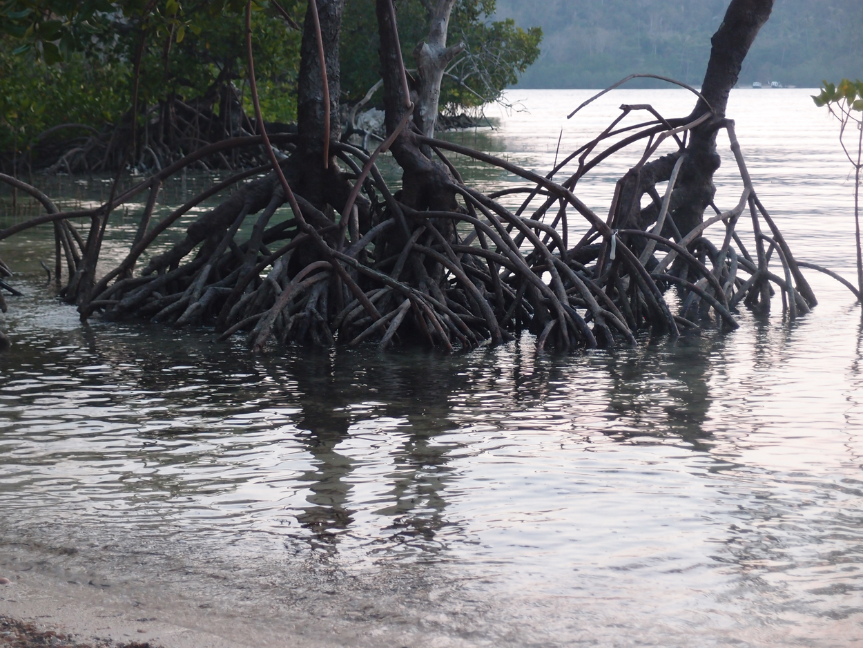 PA015910.AVI