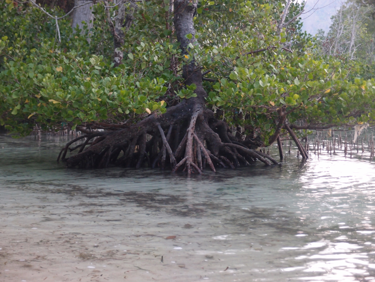 PA015910.AVI