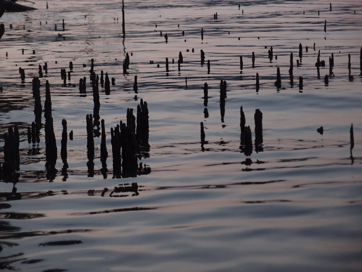 PA015910.AVI