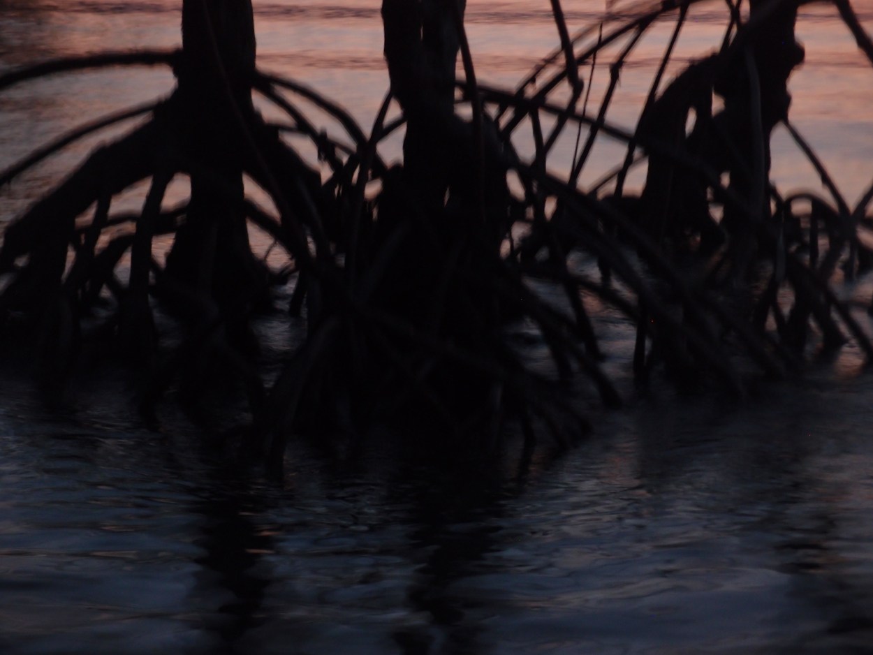 PA015910.AVI