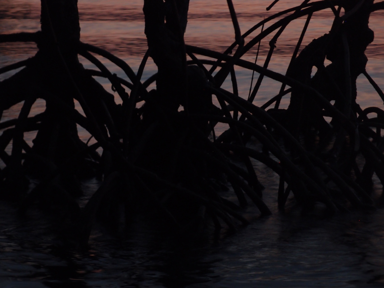 PA015910.AVI
