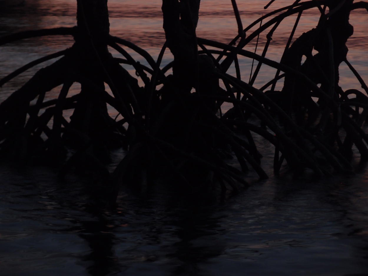 PA015910.AVI