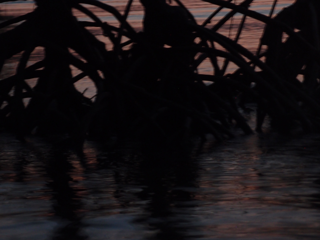 PA015910.AVI