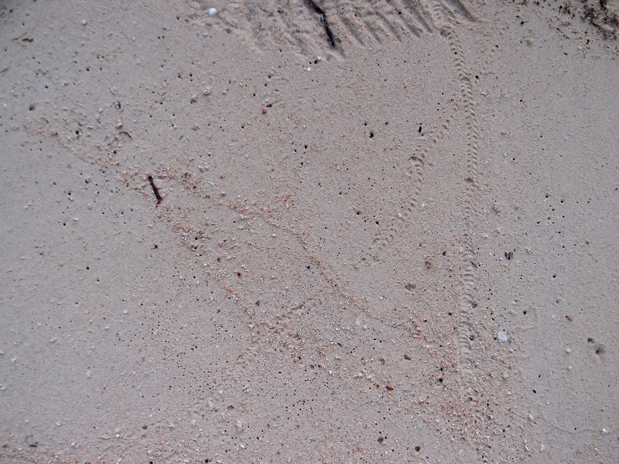 2015-10-03 04 Sand Komposition 2 (Komposition + Foto)