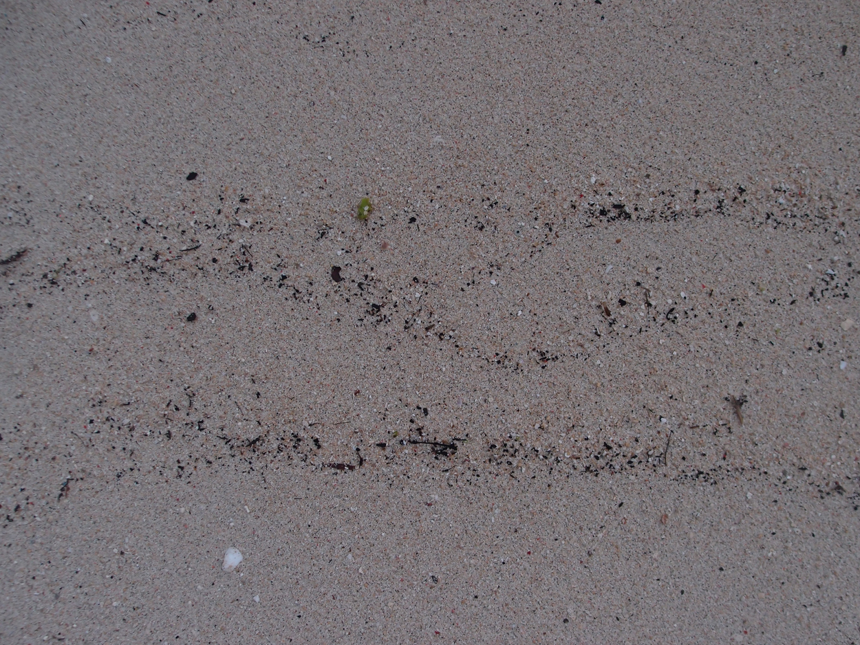 2015-10-04 Sand Komposition 3 (Foto)