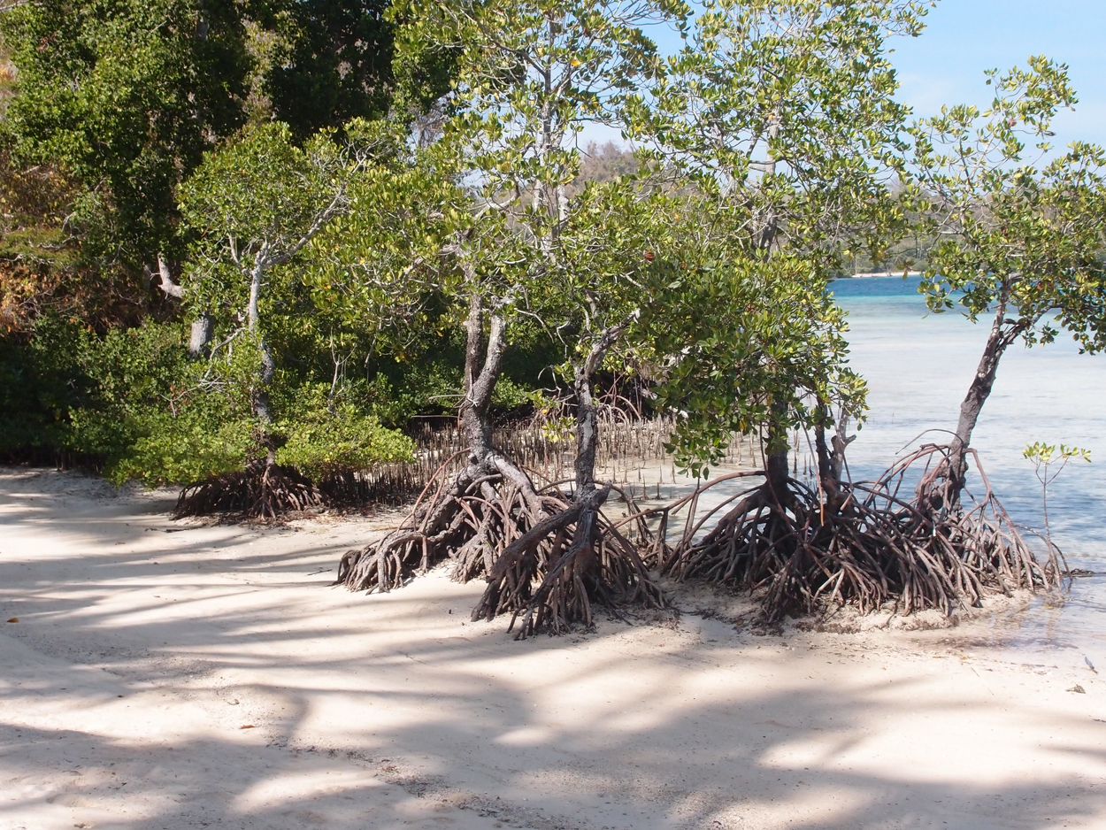 2015-10-07 Habitat des Lorbi (Foto)