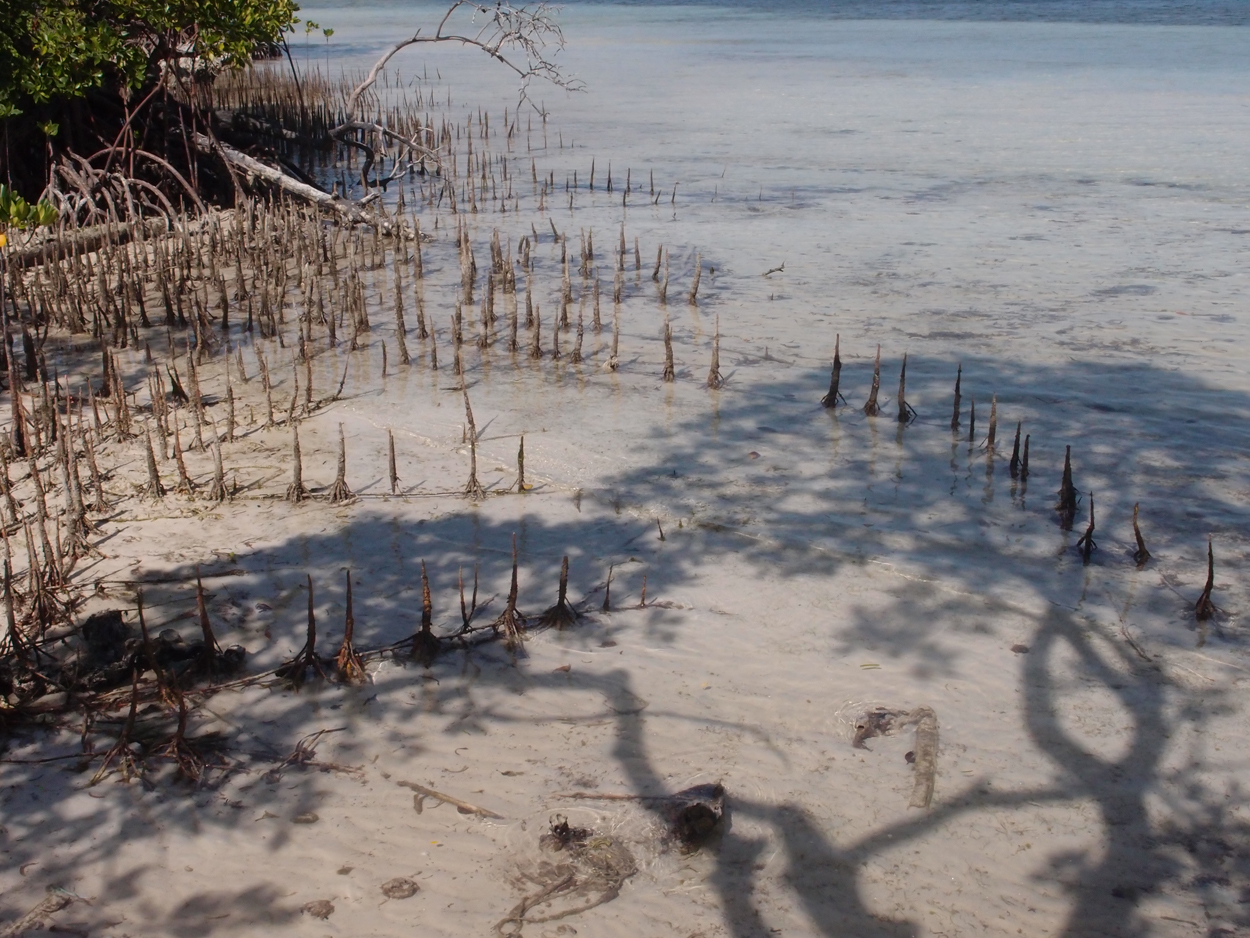 2015-10-07 Habitat des Lorbi (Foto)