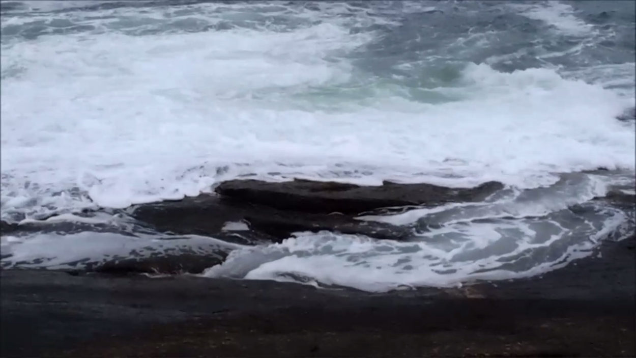2016-01-15 Passeio Itaquatiara (Video + Foto) 