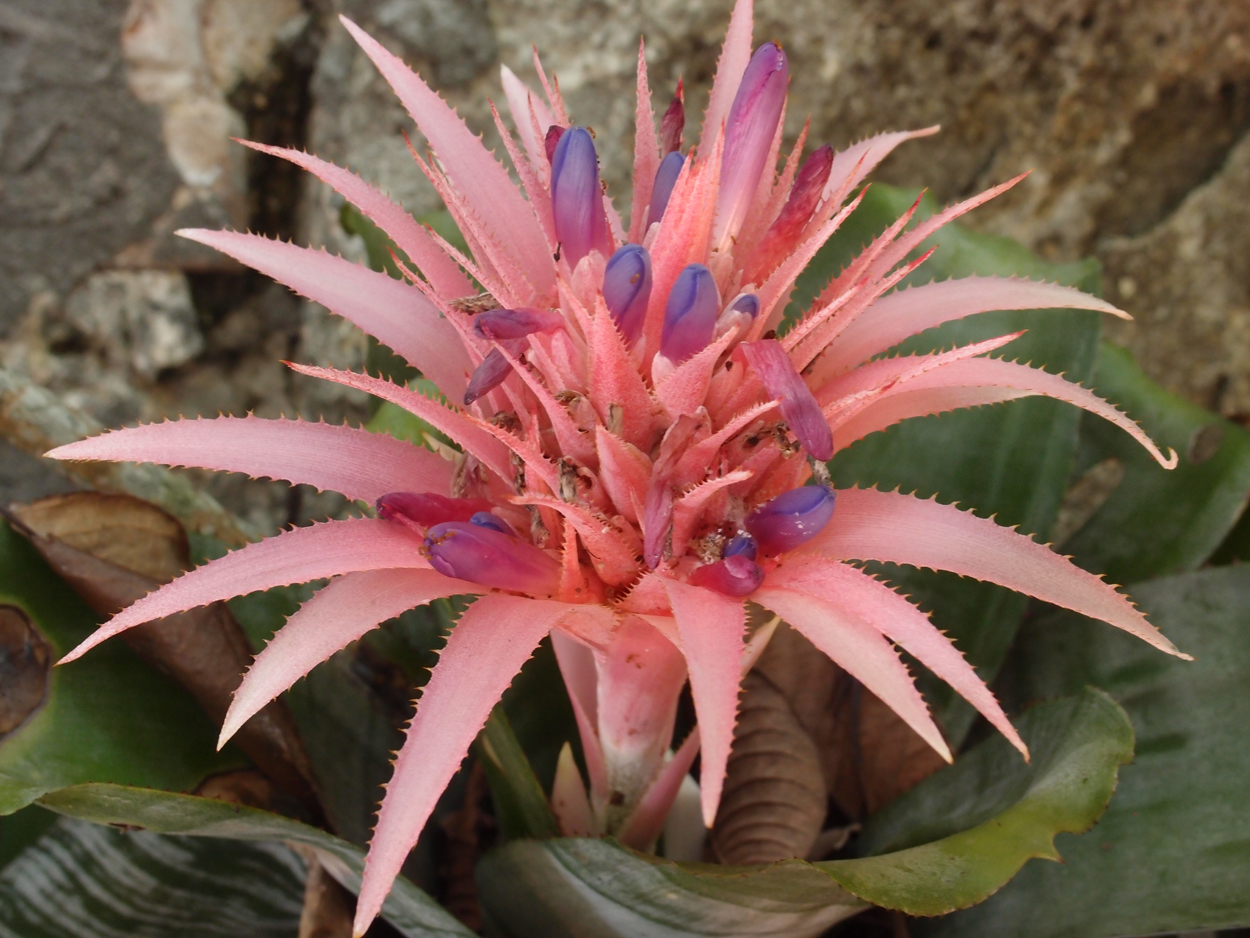 2016-02-18 Paulas Garten (Fotos)