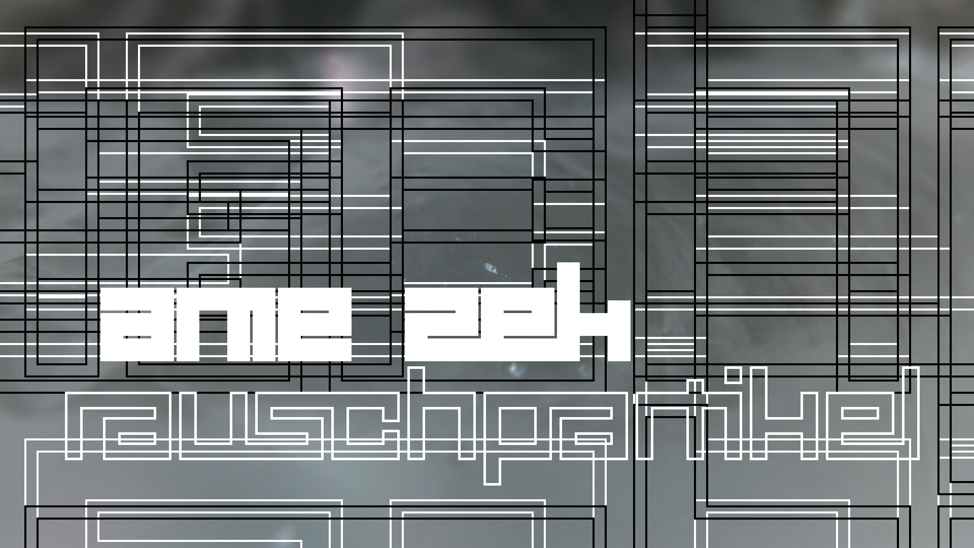 2021-04-19 Ame Zek - rauschpartikel (Vocoder Remixe) (Mixe, Typo Grafik)
