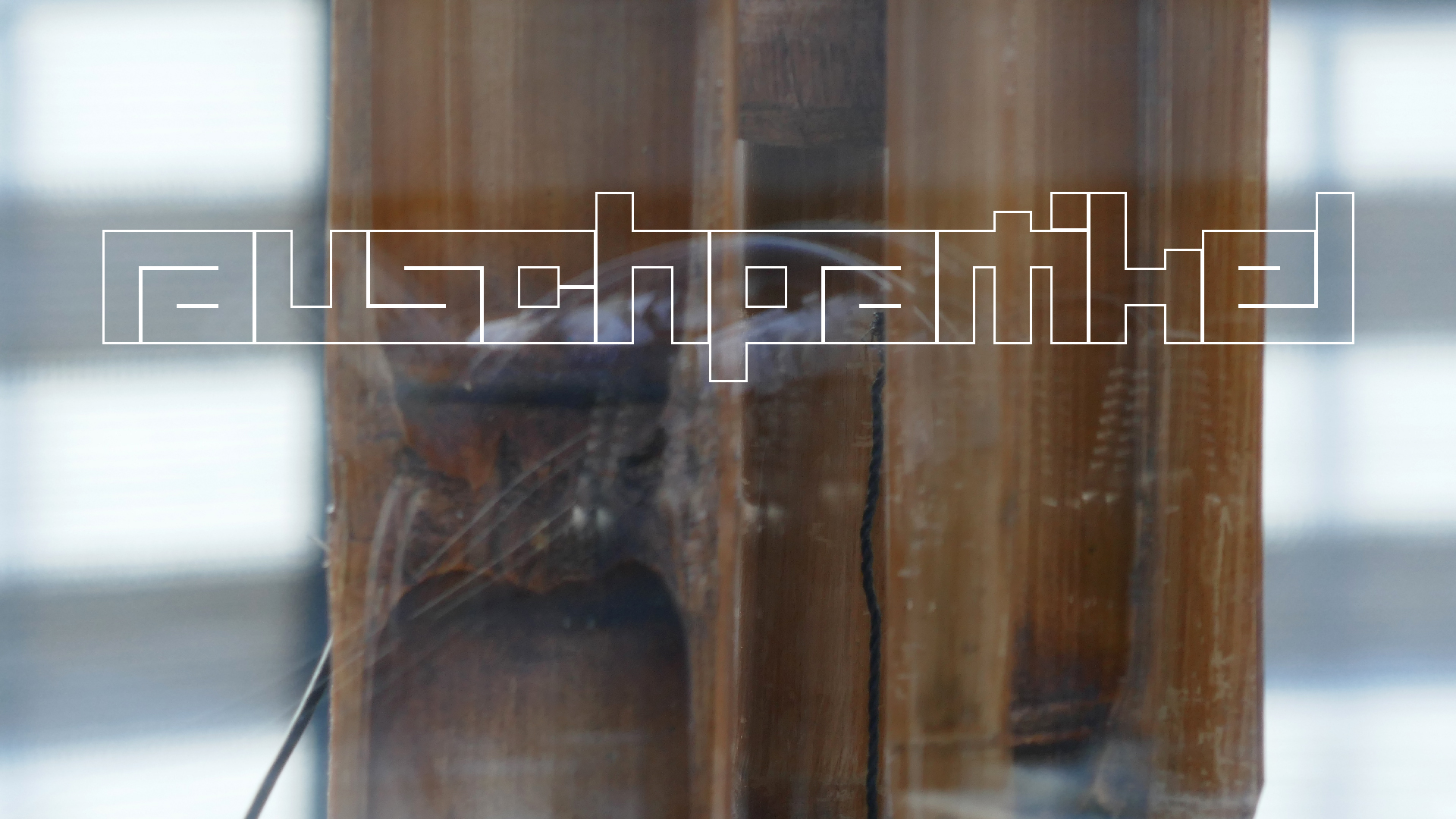 2022-01-03 Das Kleine Regen Rhythmus Orchester (Special Guest: Woodwinds) (Audio, Video)