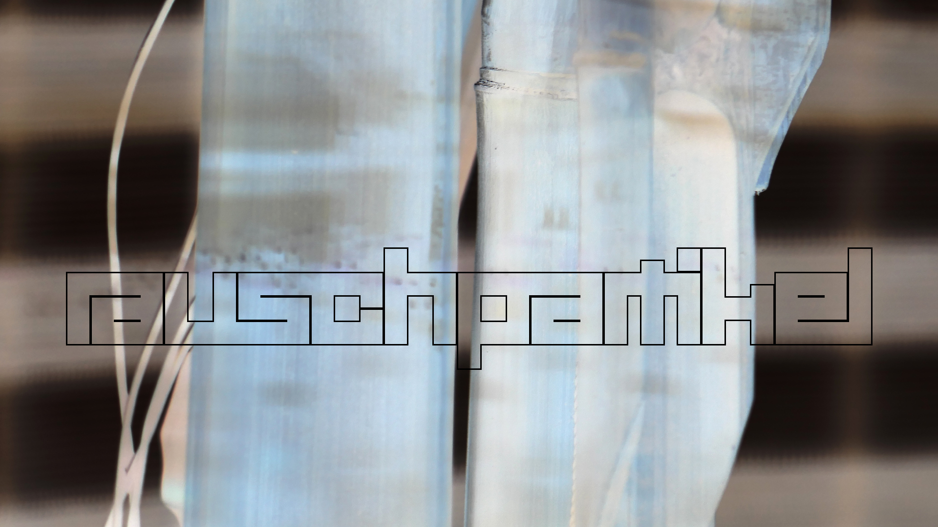 2022-01-03 Das Kleine Regen Rhythmus Orchester (Special Guest: Woodwinds) (Audio, Video)