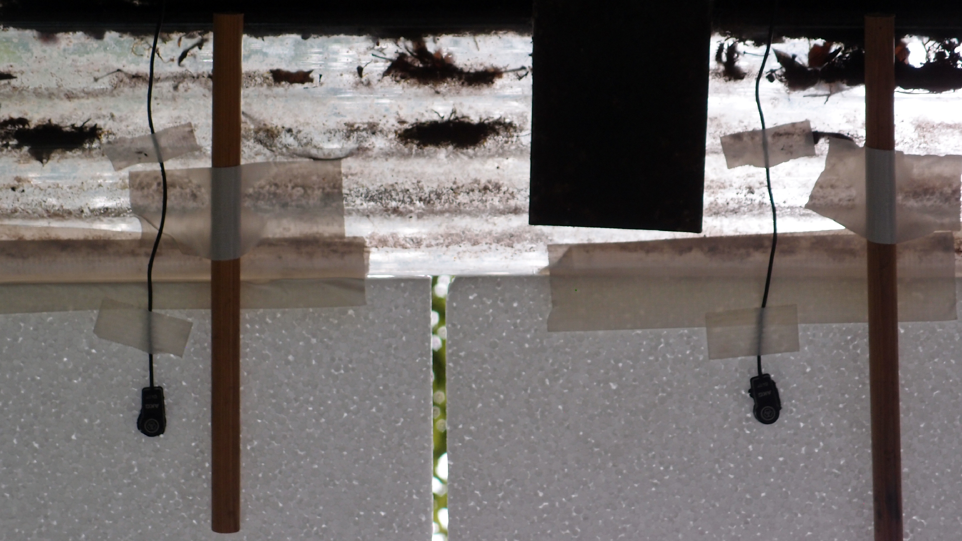 2022-06-19 Das Kleine Regen Rhythmus Orchester (4 Styropor) (Audio, Video)