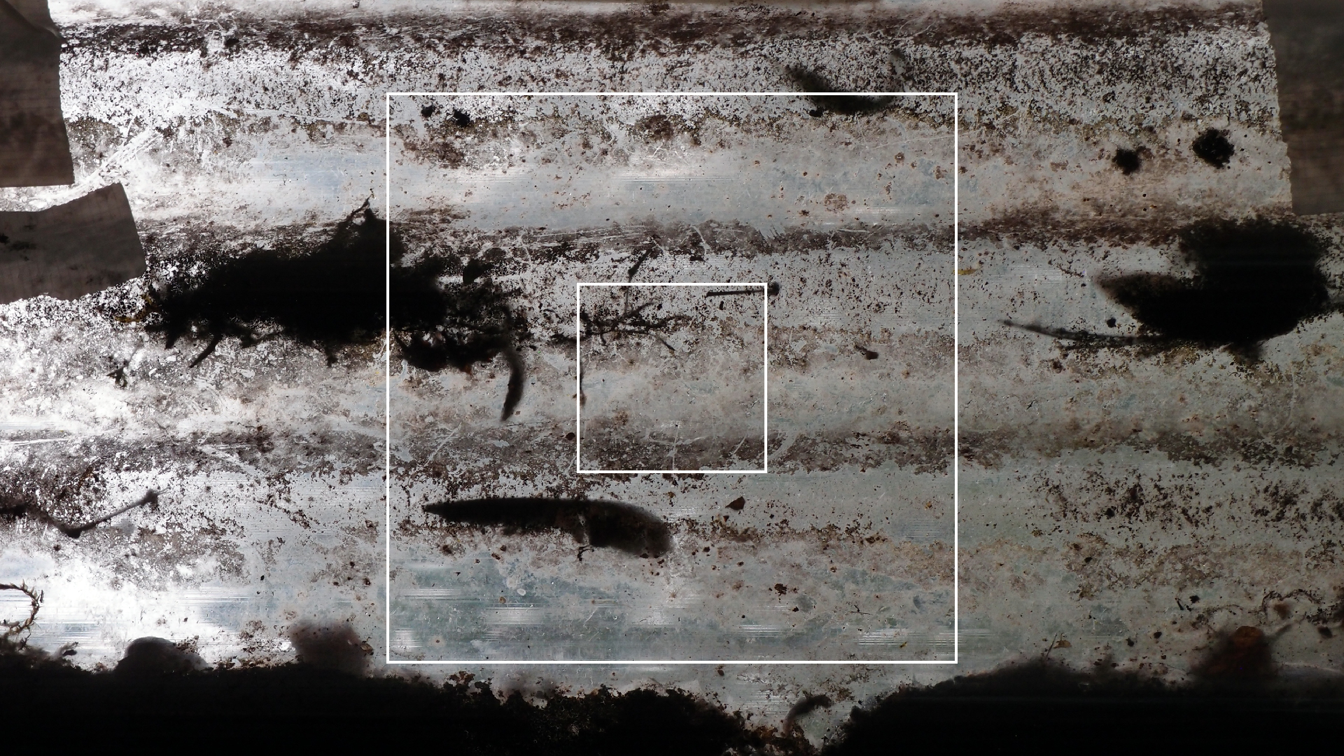 2022-06-19 Das Kleine Regen Rhythmus Orchester (4 Styropor) (Audio, Video)