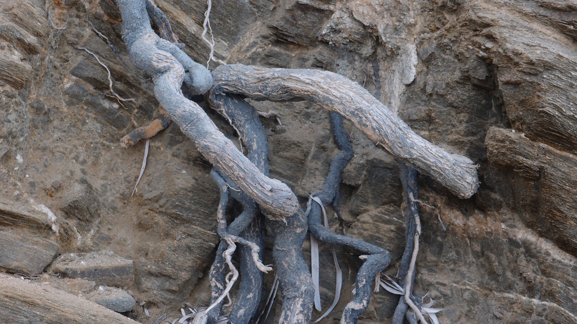2021-09-17 02 Perifereiak�, Strandspaziergang (Fieldrecording, Foto, Video)