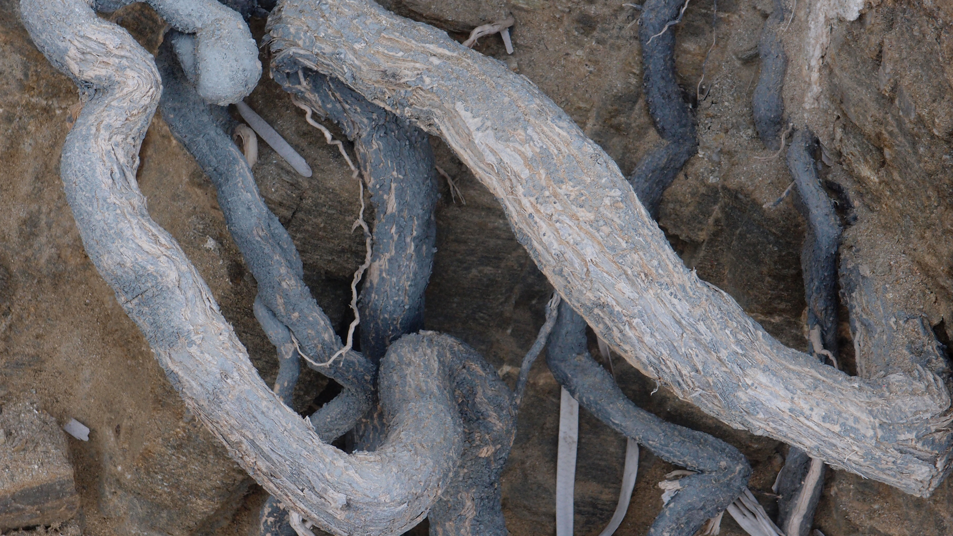 2021-09-17 02 Perifereiak�, Strandspaziergang (Fieldrecording, Foto, Video)