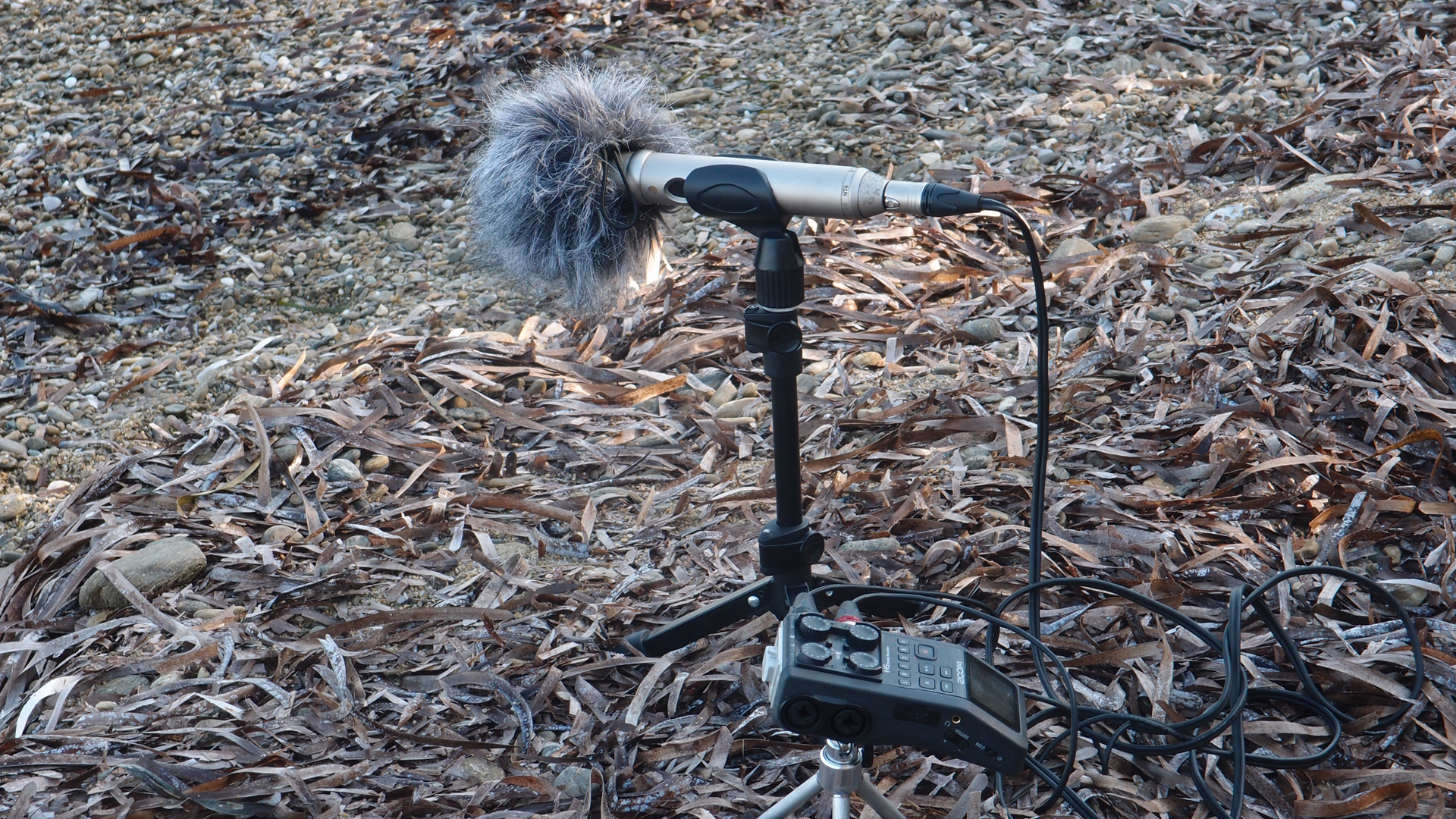 2021-09-17 02 Perifereiak�, Strandspaziergang (Fieldrecording, Foto, Video)