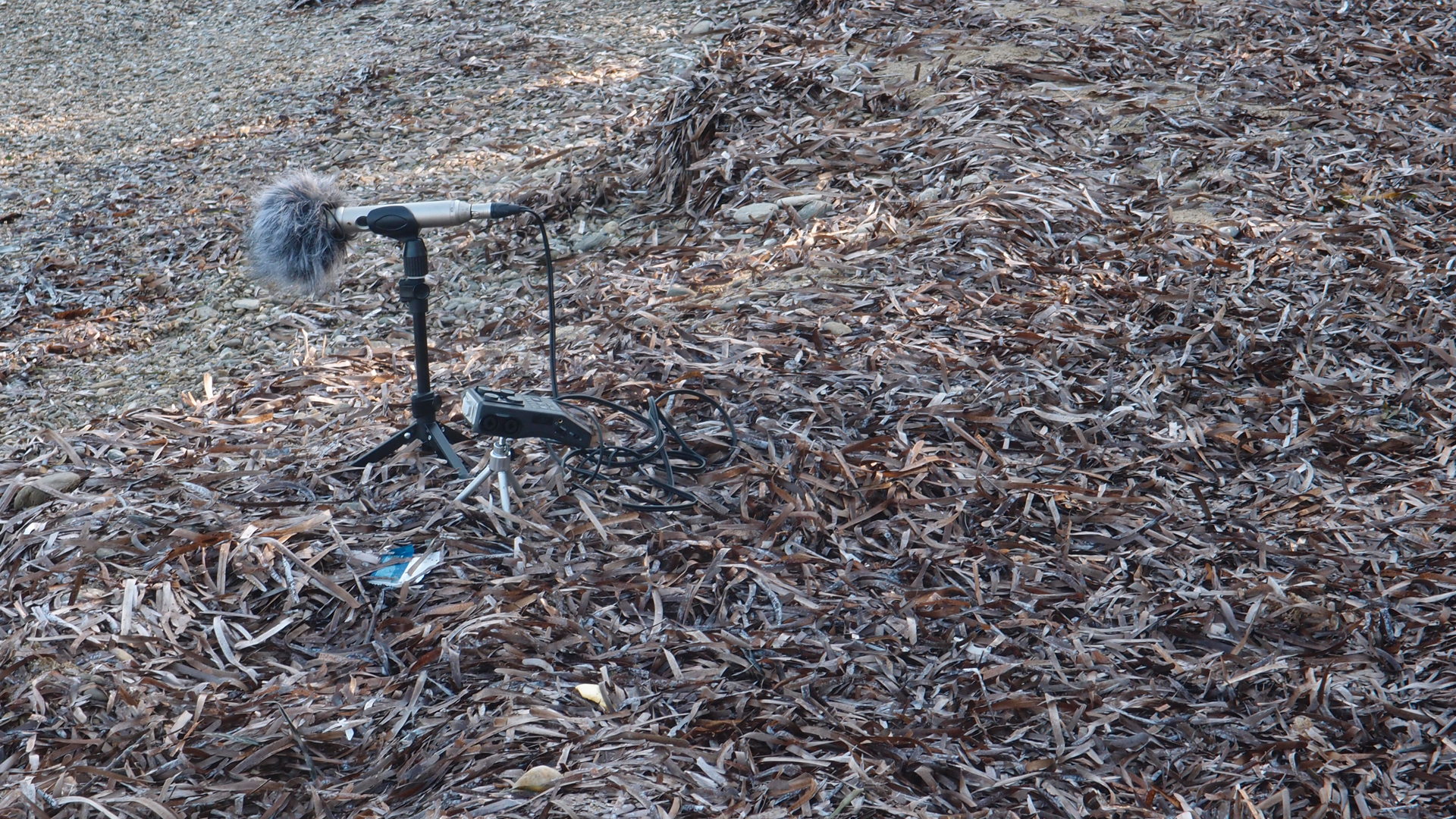2021-09-17 02 Perifereiak�, Strandspaziergang (Fieldrecording, Foto, Video)