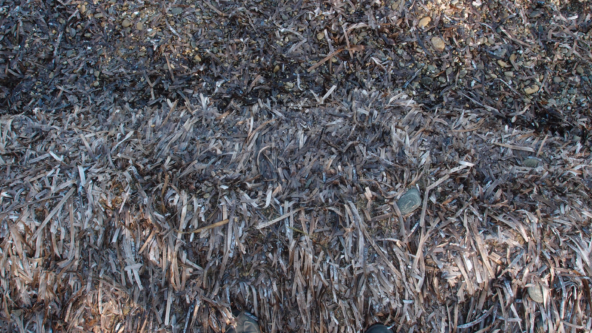 2021-09-17 02 Perifereiak�, Strandspaziergang (Fieldrecording, Foto, Video)