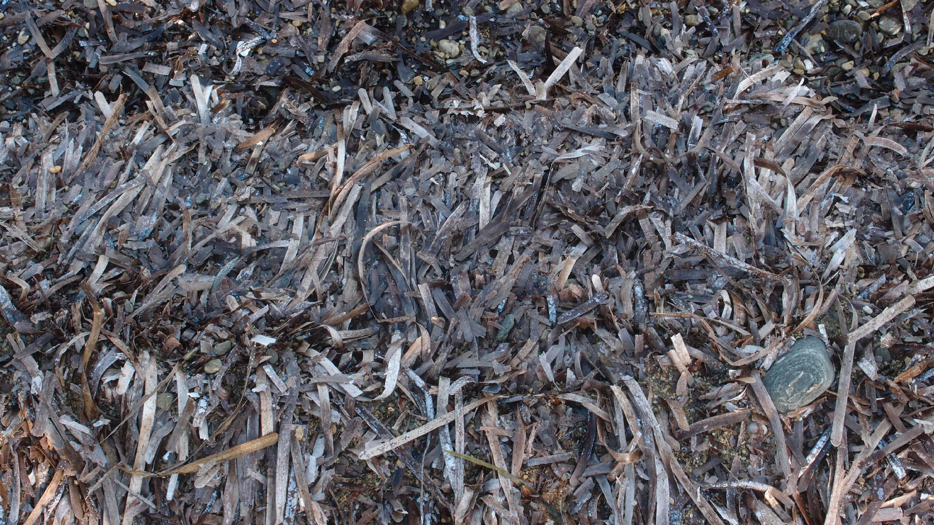 2021-09-17 02 Perifereiak�, Strandspaziergang (Fieldrecording, Foto, Video)