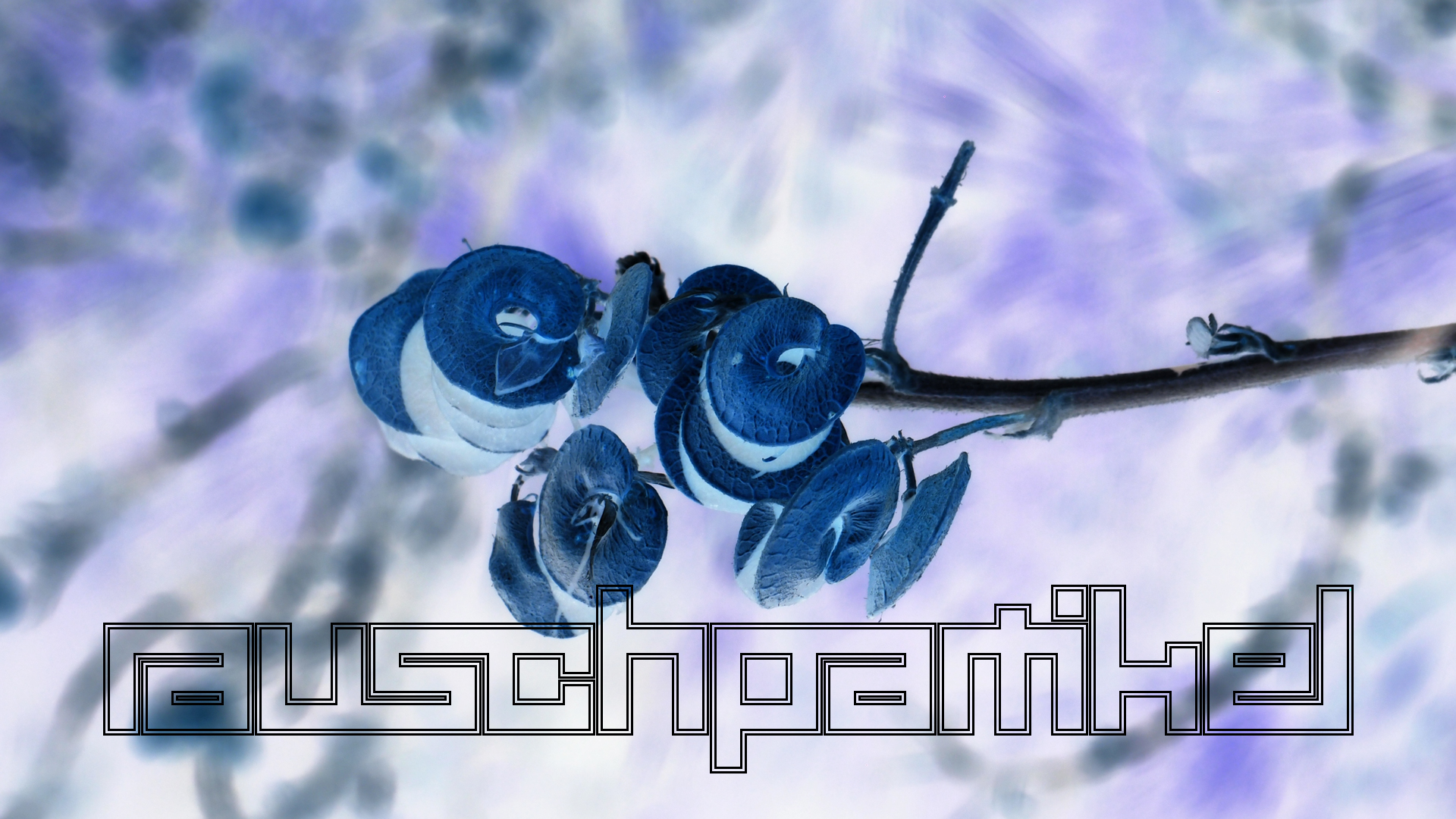 2021-09-17 02 Perifereiak�, Strandspaziergang (Fieldrecording, Foto, Video)