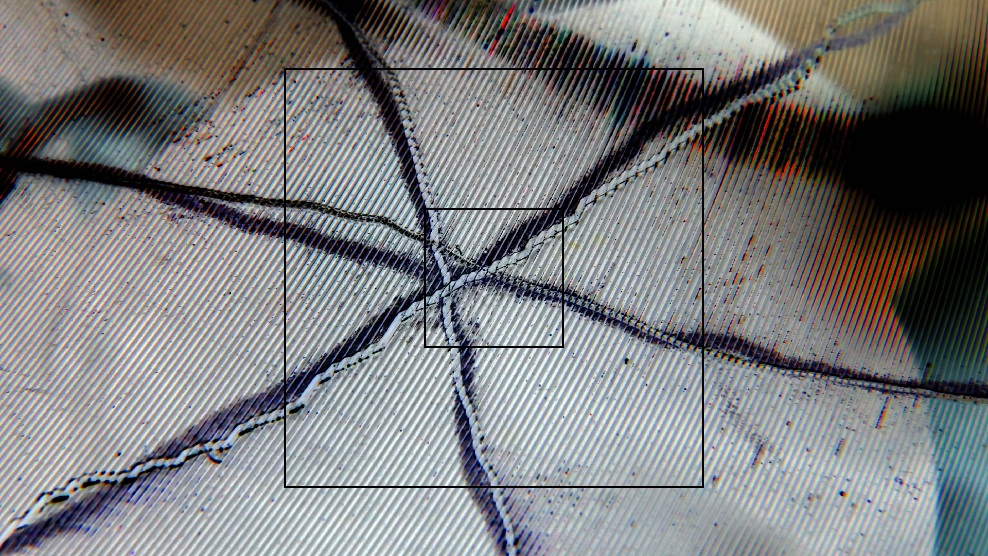 2023-02-03 wendelrekords 4, 2. Entwurf Etiketten (Foto Grafik)