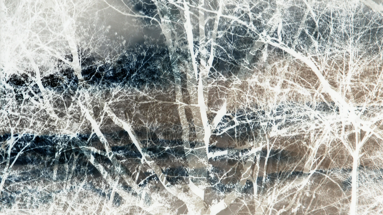 2021-01-28 Wasser in der Sple II (On-Off) (Komposition, Recording, Foto)