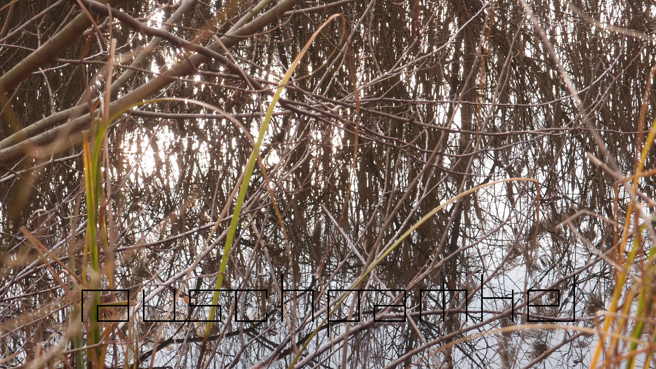 2021-01-28 Wasser in der Sple II (On-Off) (Komposition, Recording, Foto)