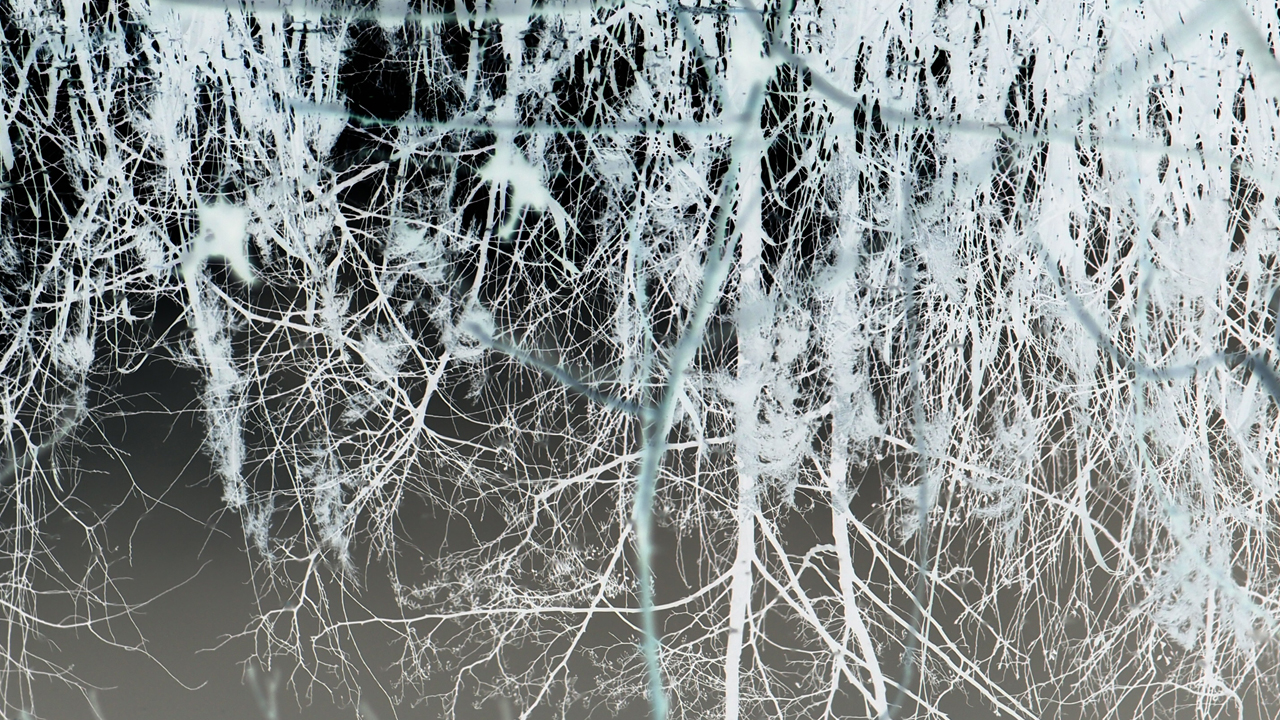 2021-01-28 Wasser in der Sple II (On-Off) (Komposition, Recording, Foto)