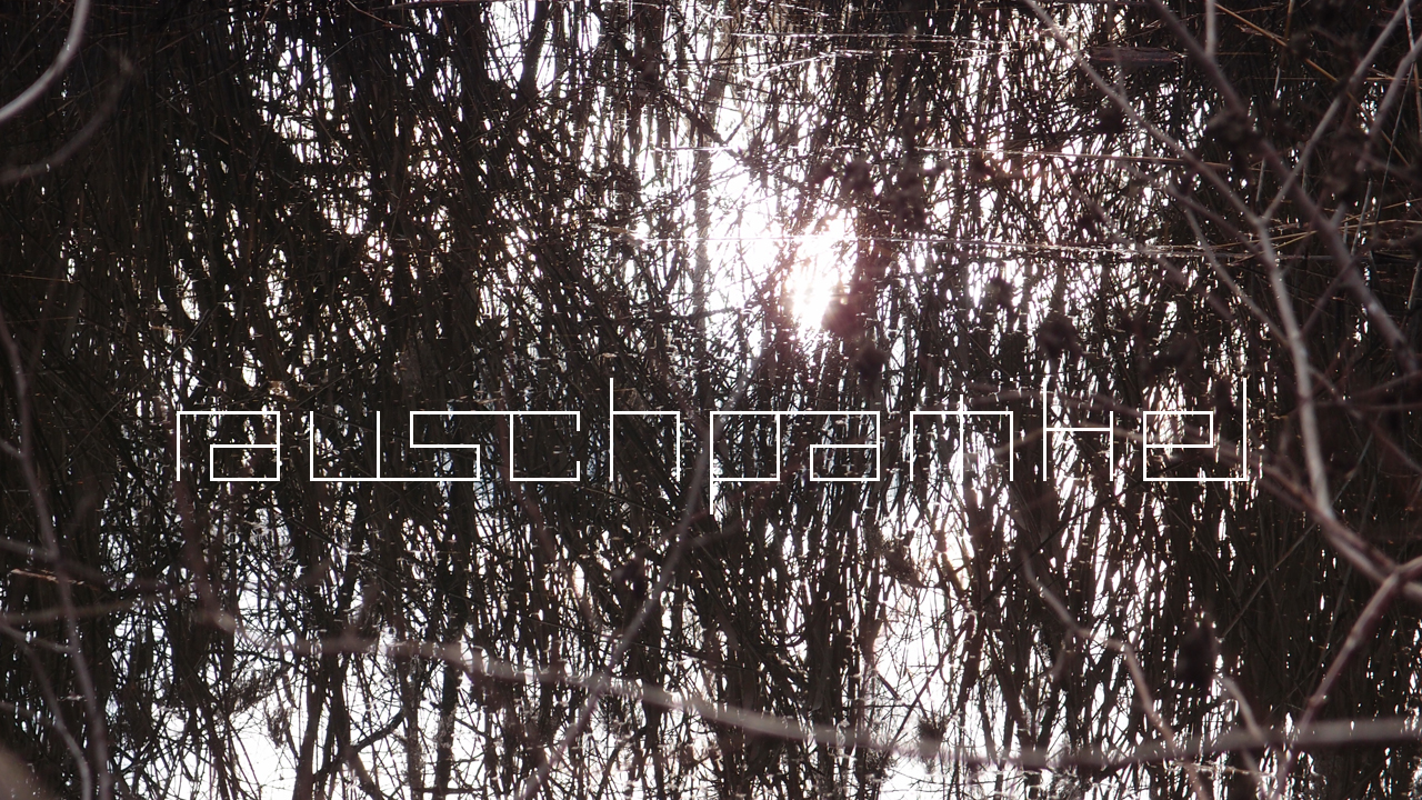 2021-01-28 Wasser in der Sple II (On-Off) (Komposition, Recording, Foto)