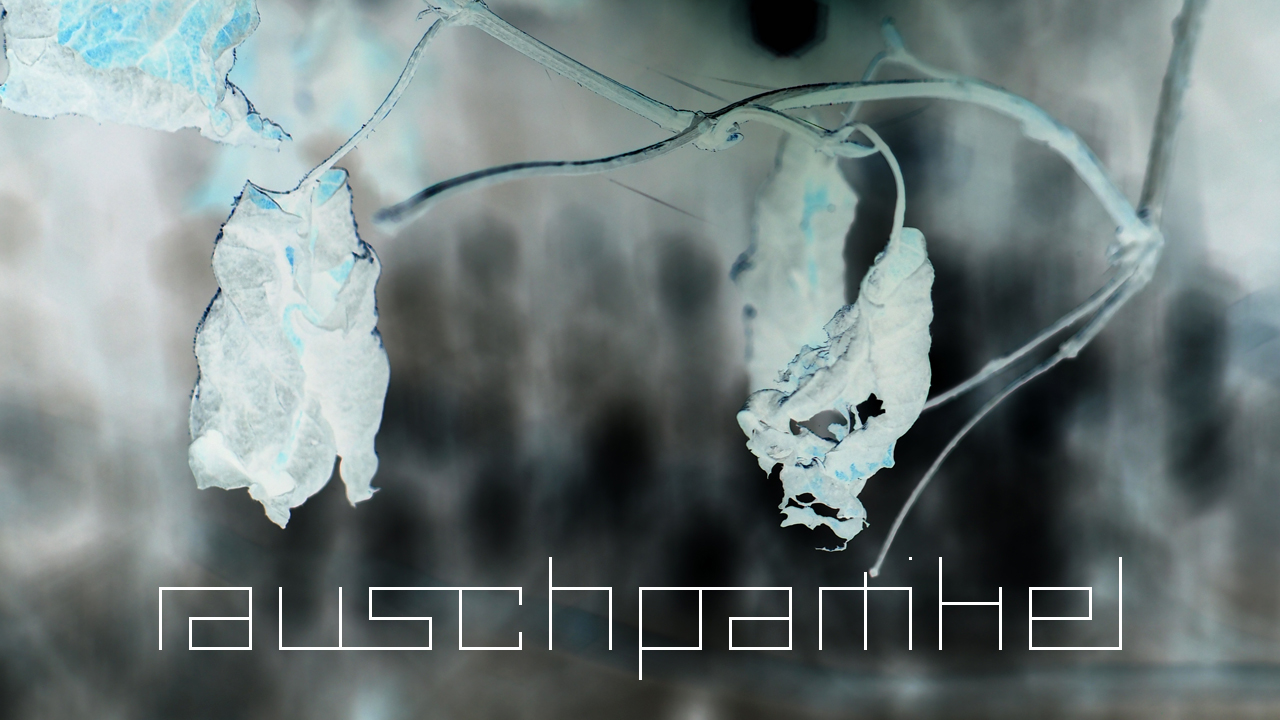 2021-01-28 Wasser in der Sple II (On-Off) (Komposition, Recording, Foto)