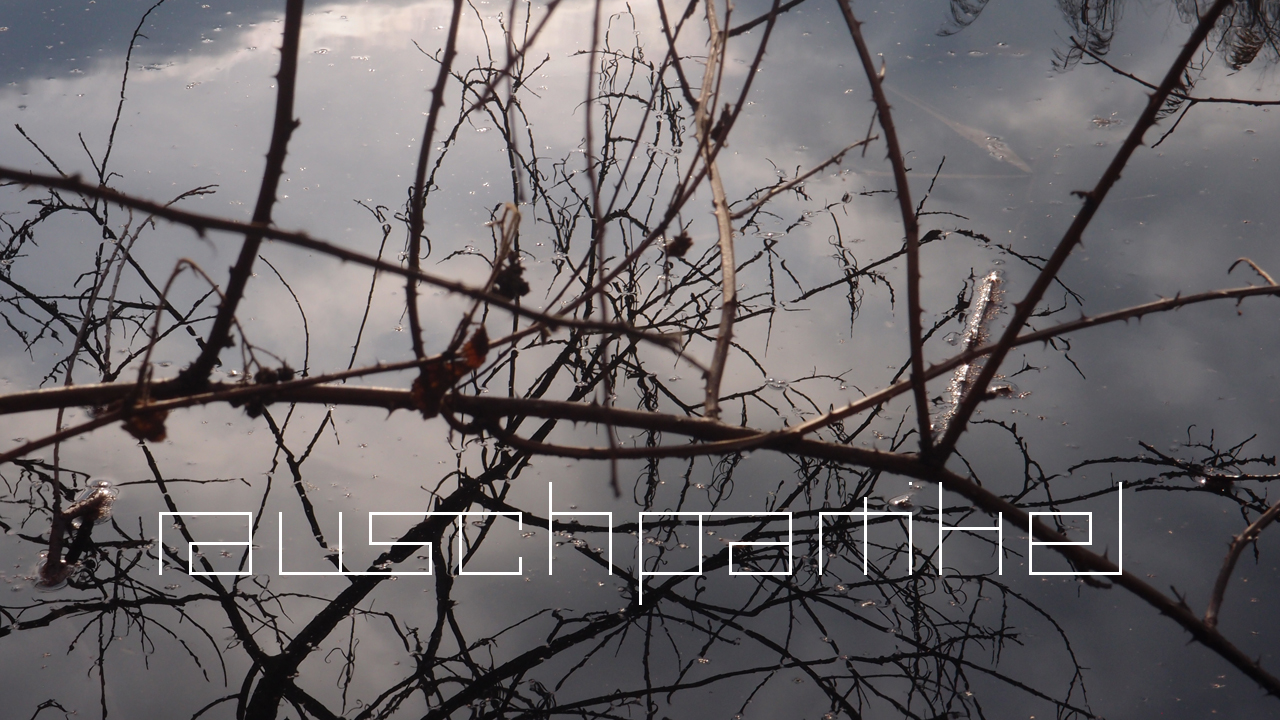 2021-01-28 Wasser in der Sple II (On-Off) (Komposition, Recording, Foto)