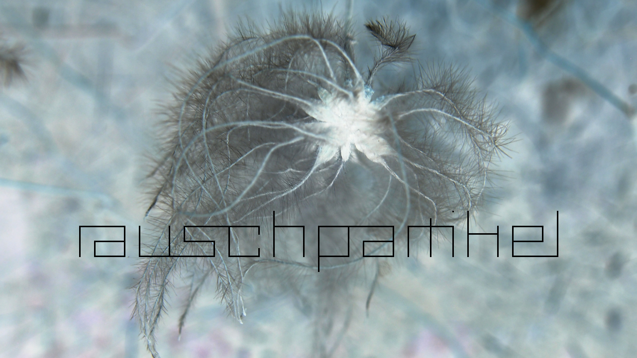 2021-01-28 Wasser in der Sple II (On-Off) (Komposition, Recording, Foto)