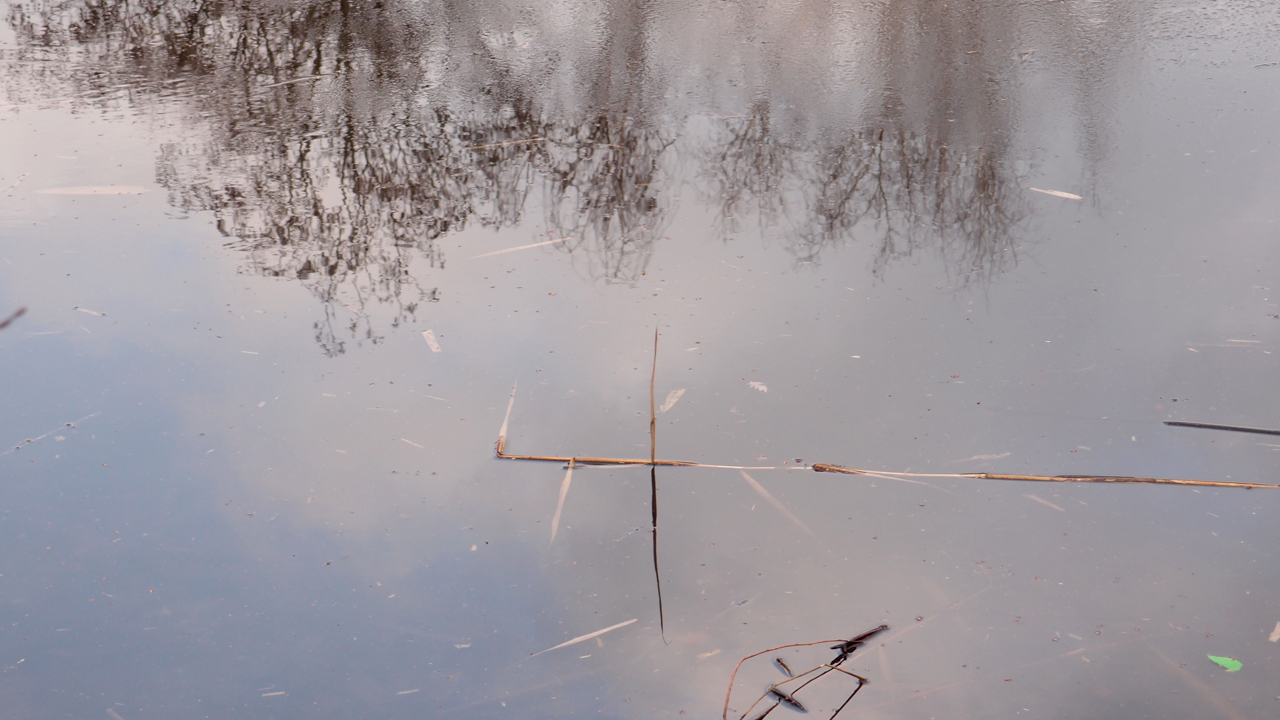 2021-01-28 Wasser in der Sple II (On-Off) (Komposition, Recording, Foto)