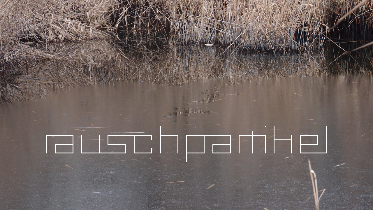 2021-01-28 Wasser in der Sple II (On-Off) (Komposition, Recording, Foto)