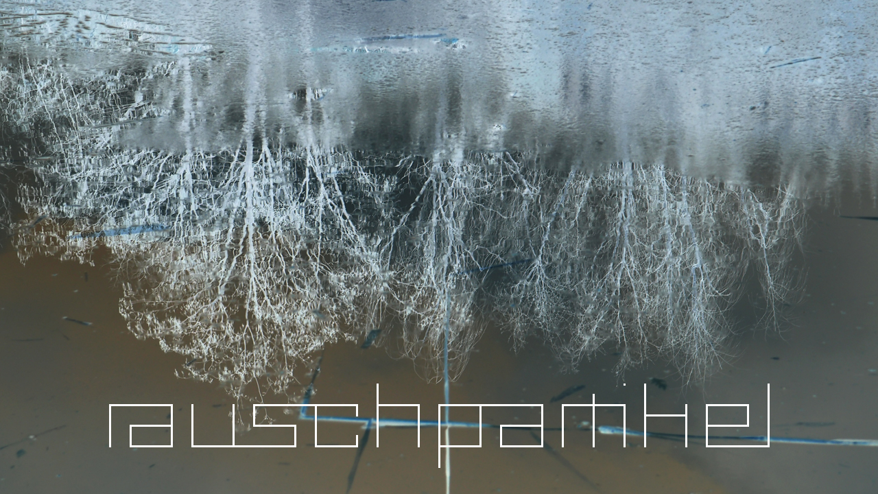 2021-01-28 Wasser in der Sple II (On-Off) (Komposition, Recording, Foto)