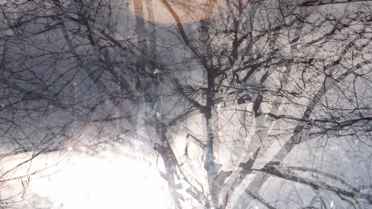 2021-01-28 Wasser in der Sple II (On-Off) (Komposition, Recording, Foto)