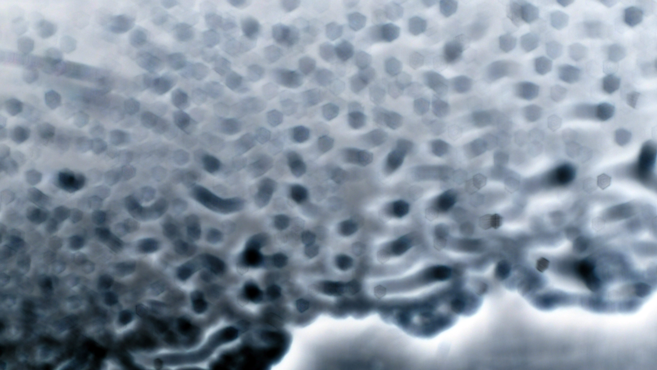 2021-01-30 Wasser in der Sple II (Remix Sonatas & Interludes, On-Off) (Komposition, Remix, Recording, Foto)