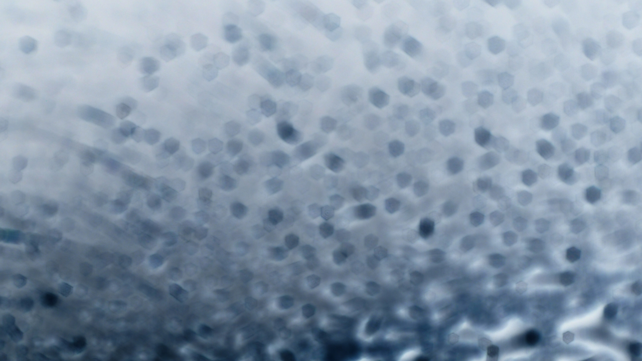 2021-01-30 Wasser in der Sple II (Remix Sonatas & Interludes, On-Off) (Komposition, Remix, Recording, Foto)