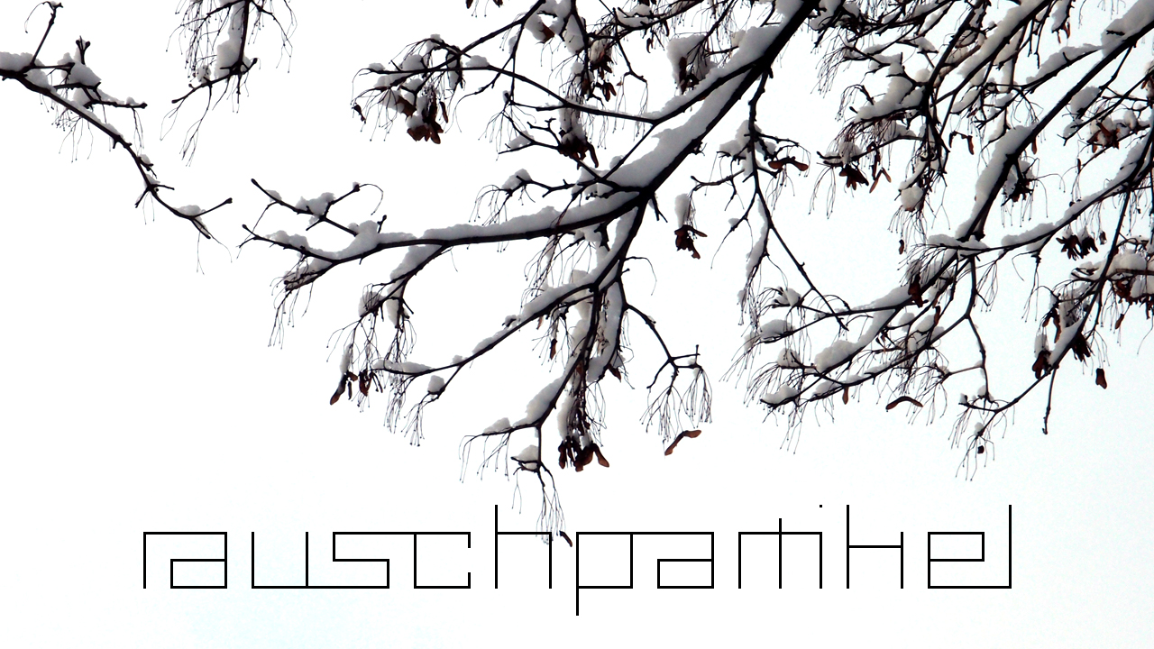 2021-01-30 Wasser in der Sple II (Remix Sonatas & Interludes, On-Off) (Komposition, Remix, Recording, Foto)
