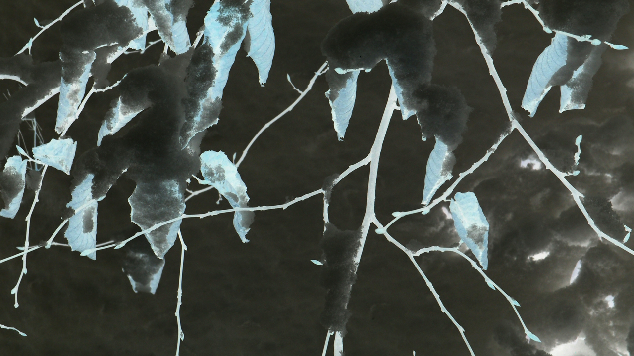 2021-01-30 Wasser in der Sple II (Remix Sonatas & Interludes, On-Off) (Komposition, Remix, Recording, Foto)